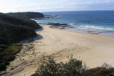 Sandee Rennie's Beach