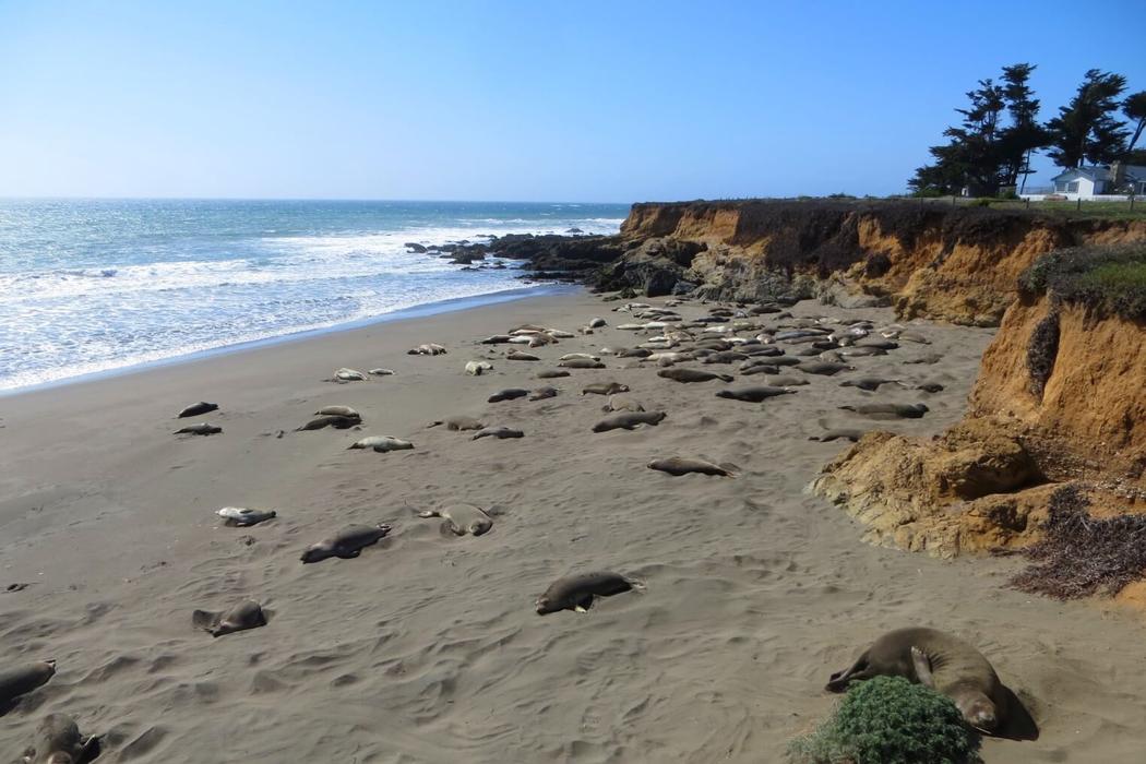 Sandee Arroyo Del Corral Beach Photo