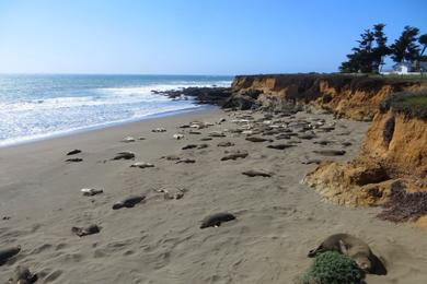 Sandee Arroyo Del Corral Beach