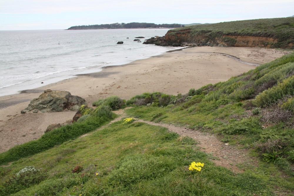 Sandee - Little Pico Creek Beach Access