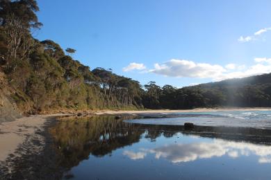 Sandee Depot Beach Photo