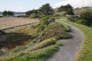 Sandee Bird Walk Coastal Access Photo