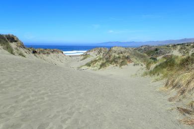 Sandee Bodega Dunes Beach