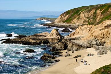Sandee Bodega Head Beach
