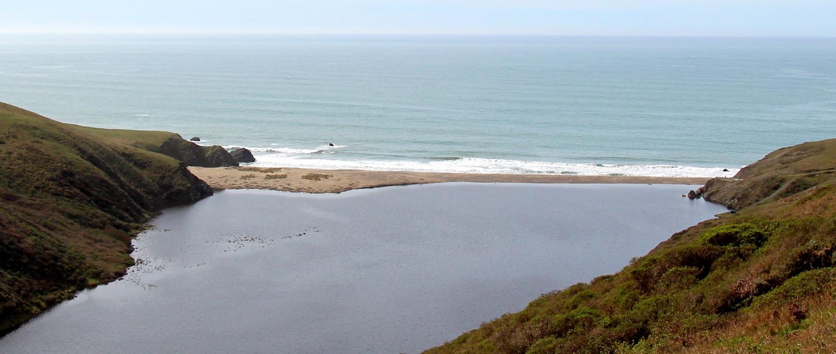 Sandee - Estero Americano Beach