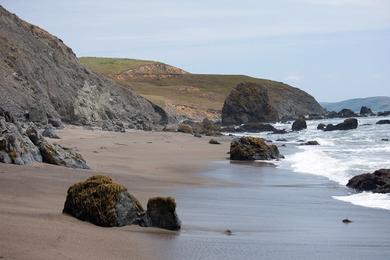 Sandee Estero Americano Beach Photo