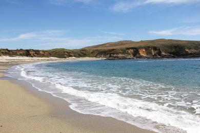 Sandee Horseshoe Cove Beach