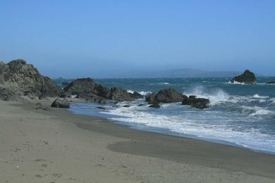 Sandee Shorttail Gulch Beach Photo