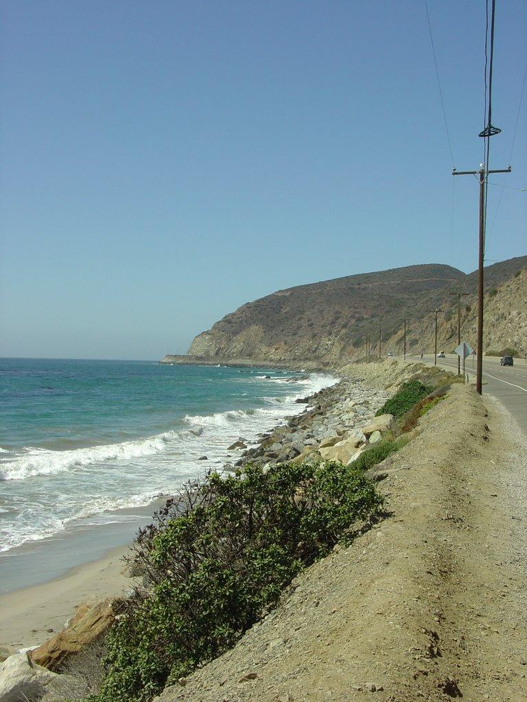 Sandee