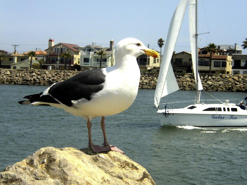 Sandee - Channel View Park Beach