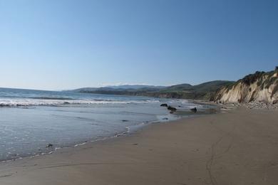 Sandee Ed's Surfing Beach Photo