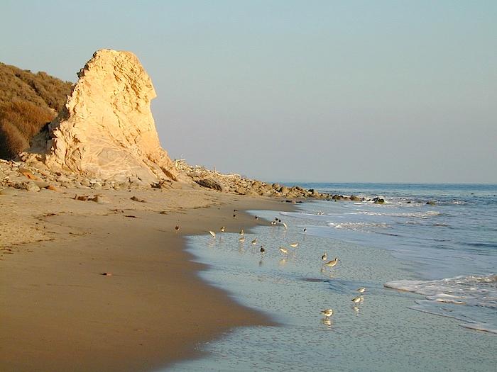 Sandee San Onofre Beach