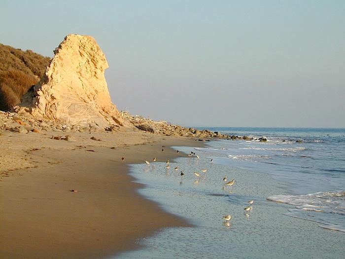 Sandee San Onofre Beach Photo