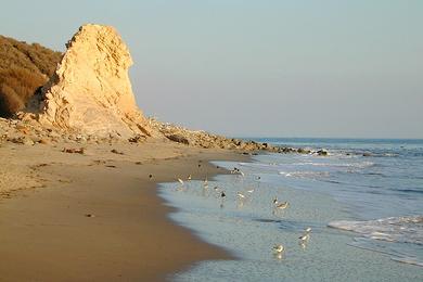Sandee San Onofre Beach