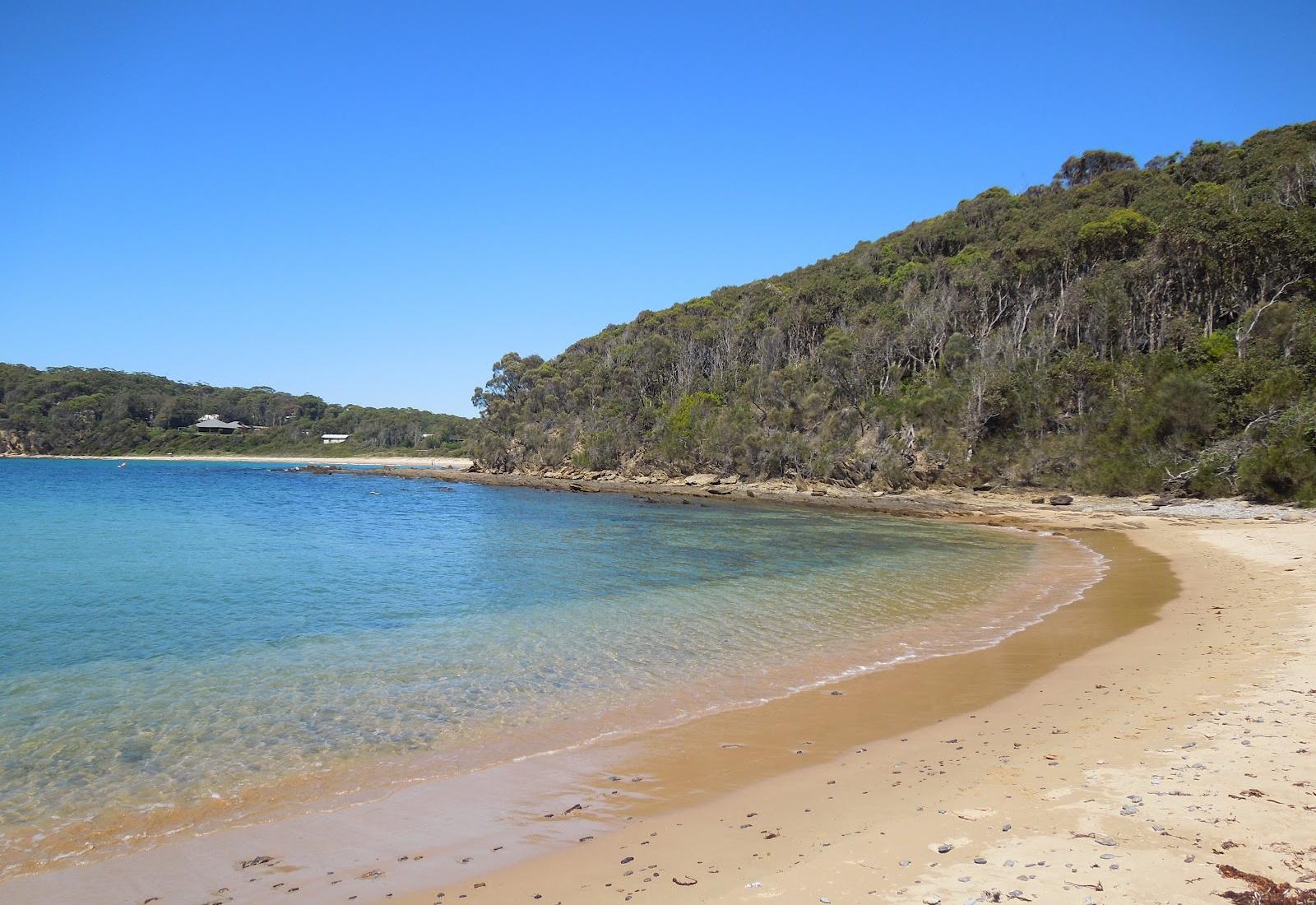 Sandee - HomePage / Guerilla Bay