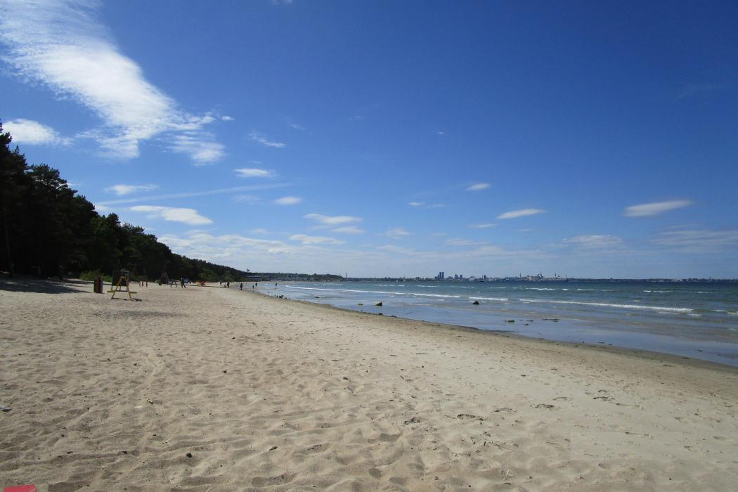 Sandee Pirita Beach