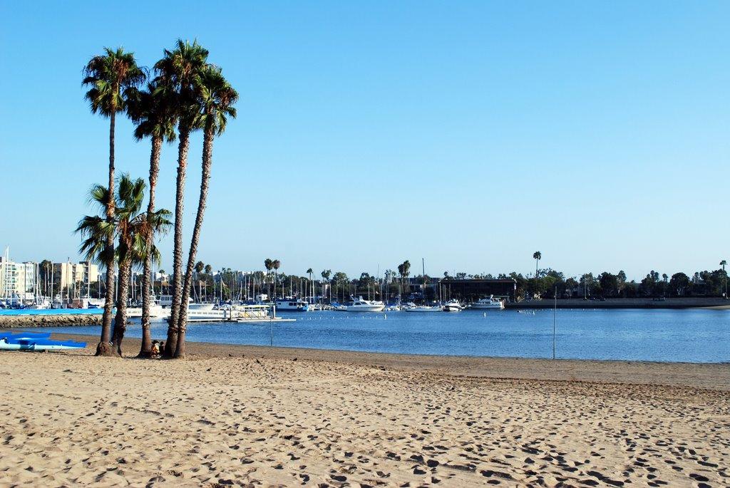 Marina del Rey Photo - Sandee