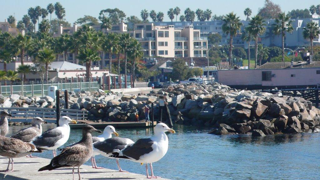 Sandee - Seaside Lagoon Beach