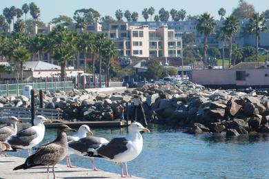 Sandee - Seaside Lagoon Beach