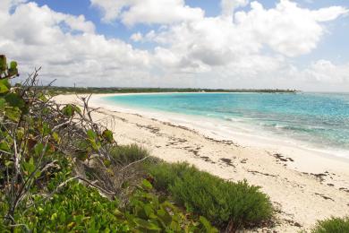 Sandee - Upper Shoal Bay