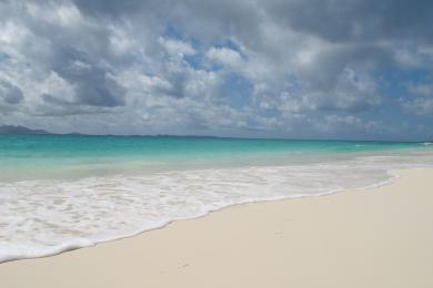 Sandee Upper Shoal Bay Photo