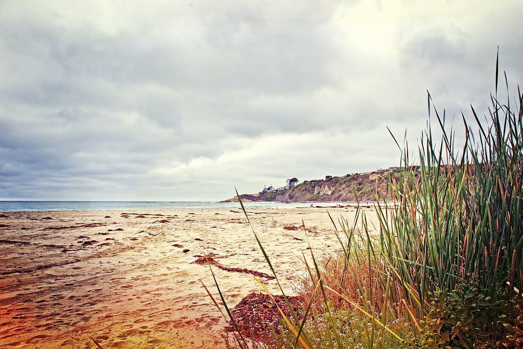 Sandee - Salt Creek Beach