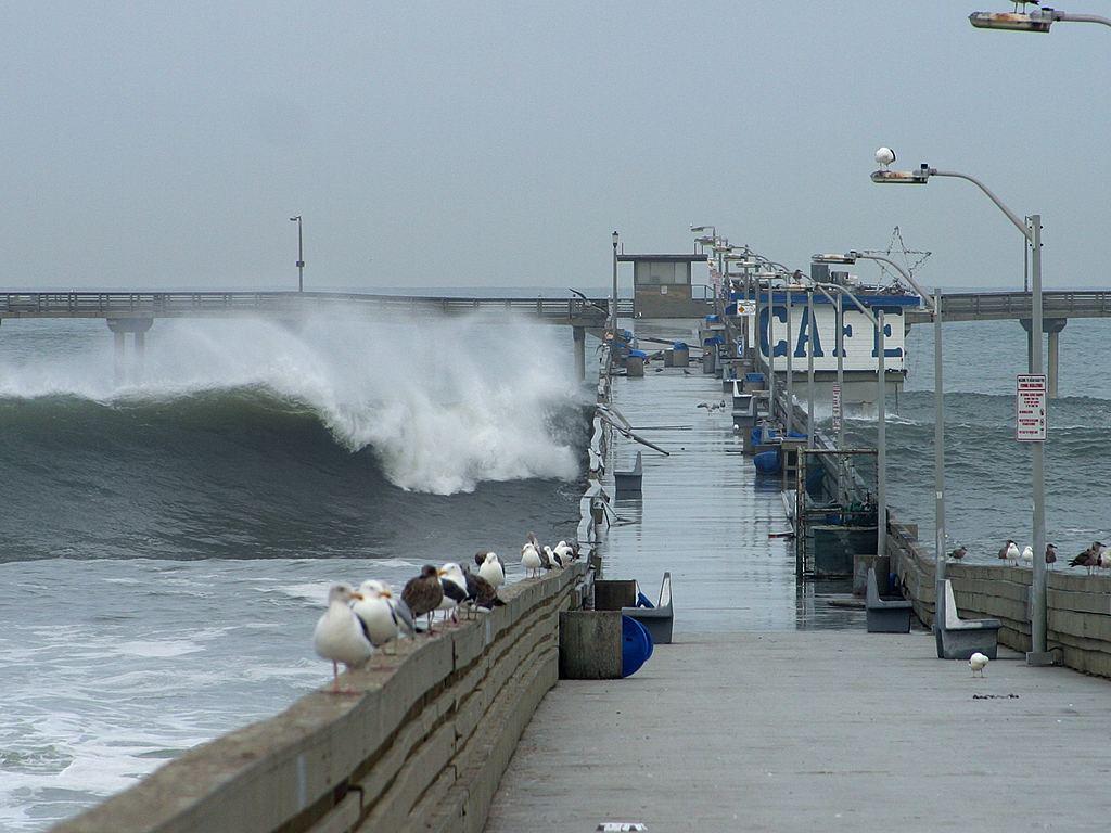 Sandee - Ocean Beach