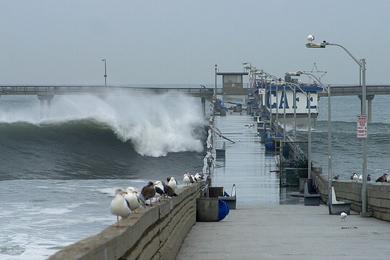 Sandee - Ocean Beach