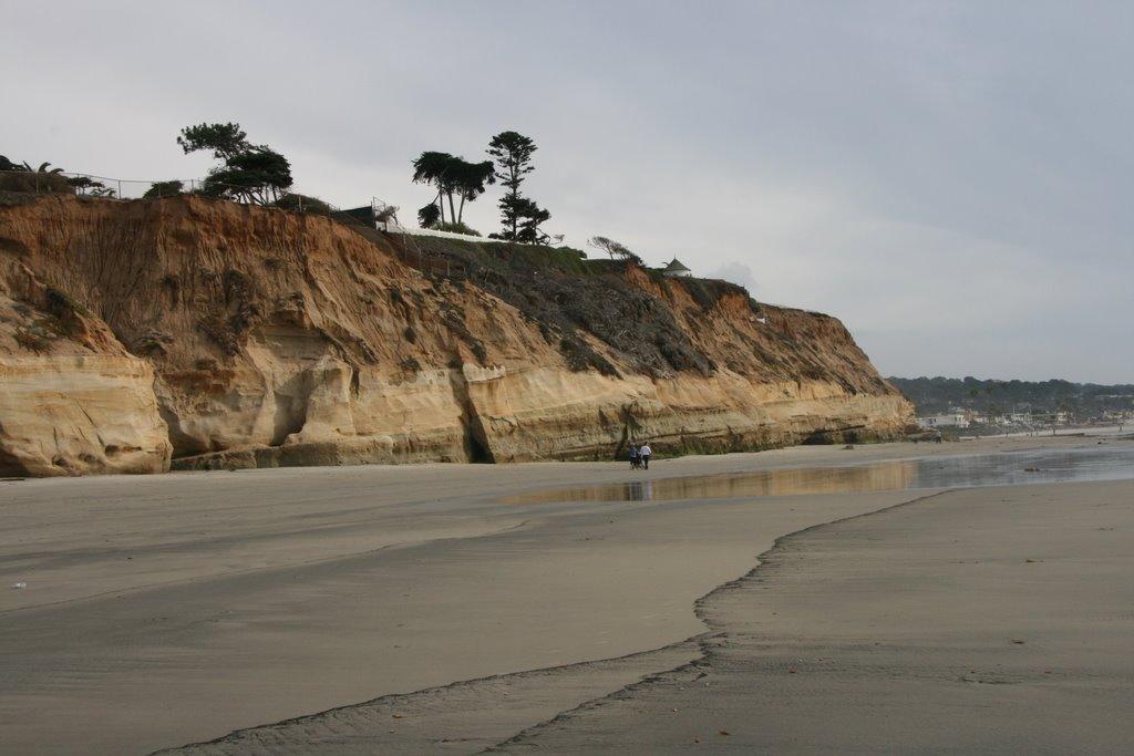 Sandee Seascape Sur Beach