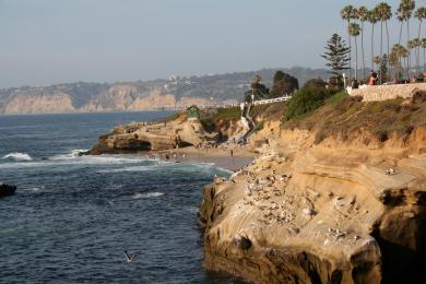 Sandee Shell Beach