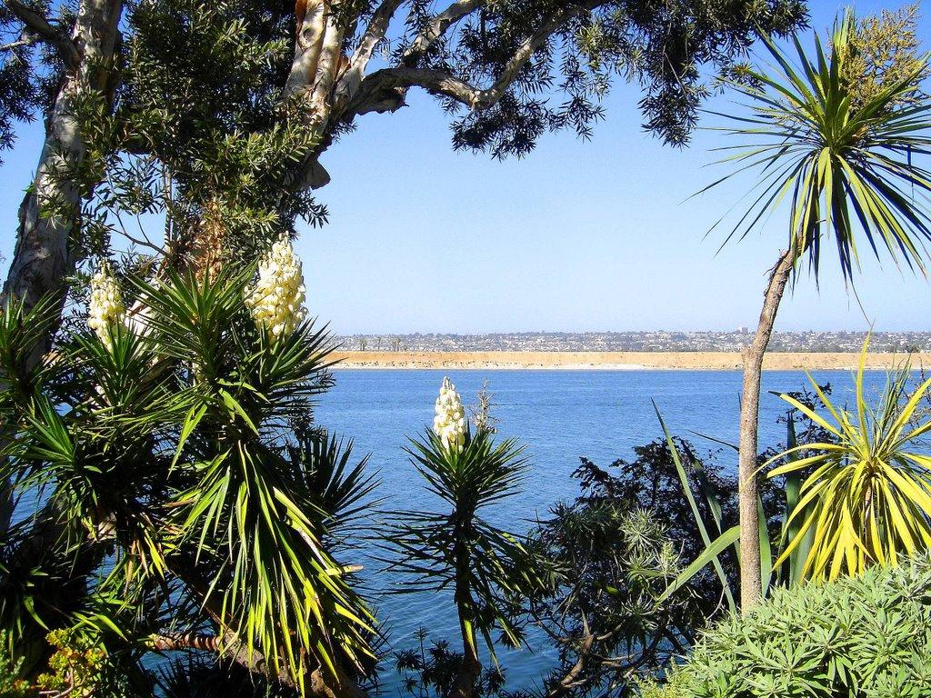 Sandee - Mission Bay, South Shores Park