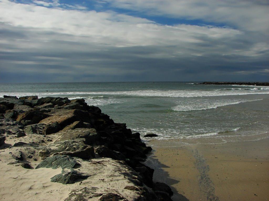 Sandee - Ocean Beach Dog Beach