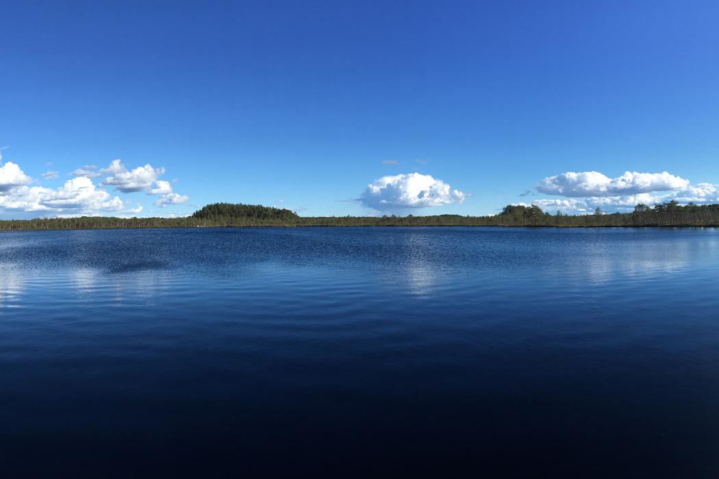 Sandee Lake Tamula Beach