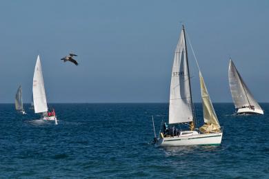 Sandee - Santa Barbara Harbor