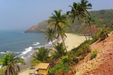 Sandee - Arambol Beach