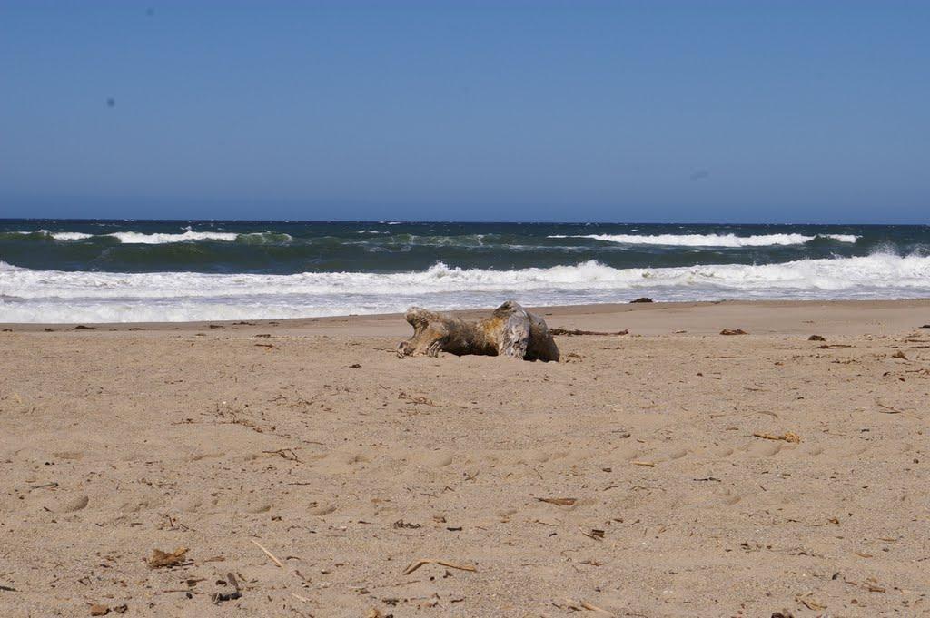 Sandee Oxnard Beach Park