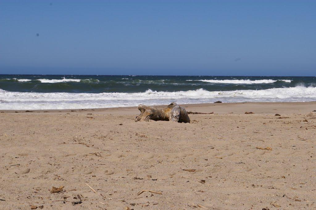 Sandee - Oxnard Beach Park