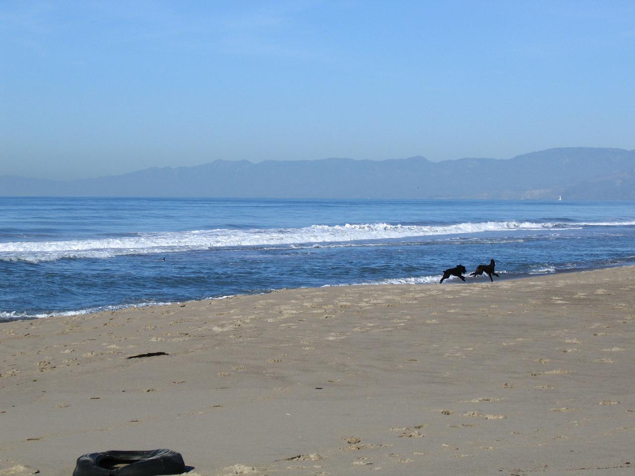 Sandee - Oxnard Beach Park