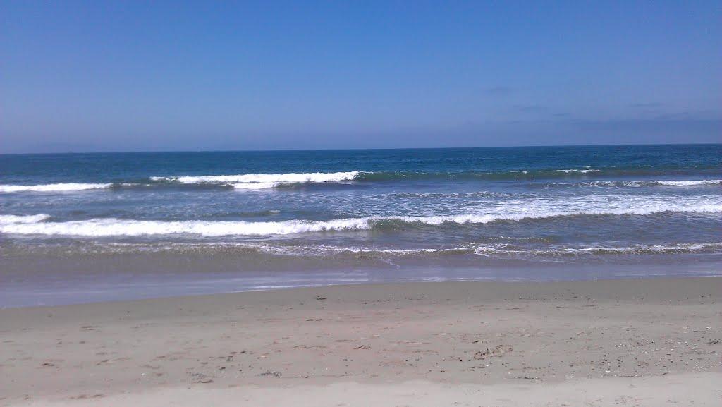 Sandee - Seaside Wilderness Park Beach