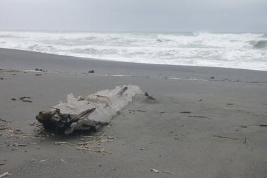 Sandee Little River State Beach Photo