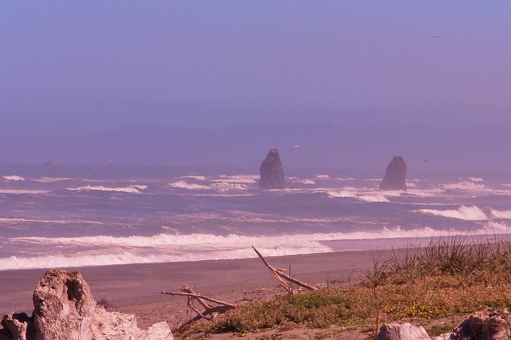 Sandee Redwood Inlet Beach