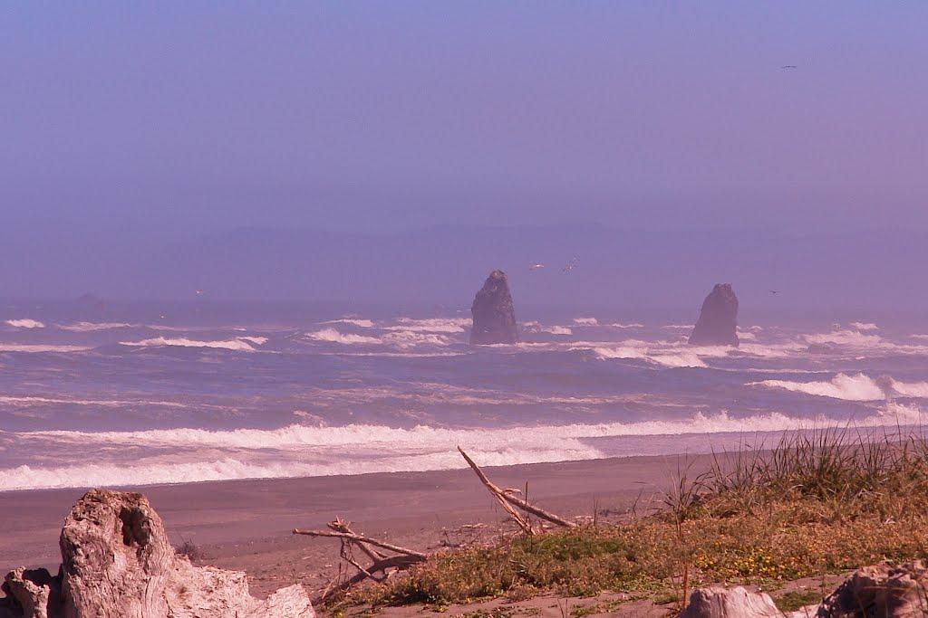 Sandee Redwood Inlet Beach Photo