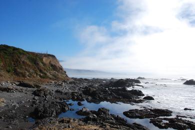 Sandee Shelter Cove Photo