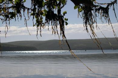 Sandee Drakes Estero Beach