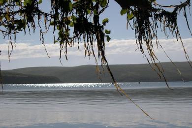 Sandee Drakes Estero Beach Photo