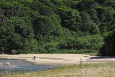 Sandee Marshall Beach