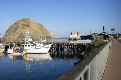 Sandee - Morro Bay Harbor