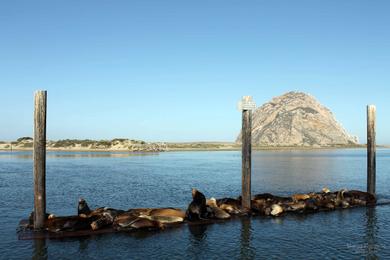 Sandee - Morro Bay Harbor