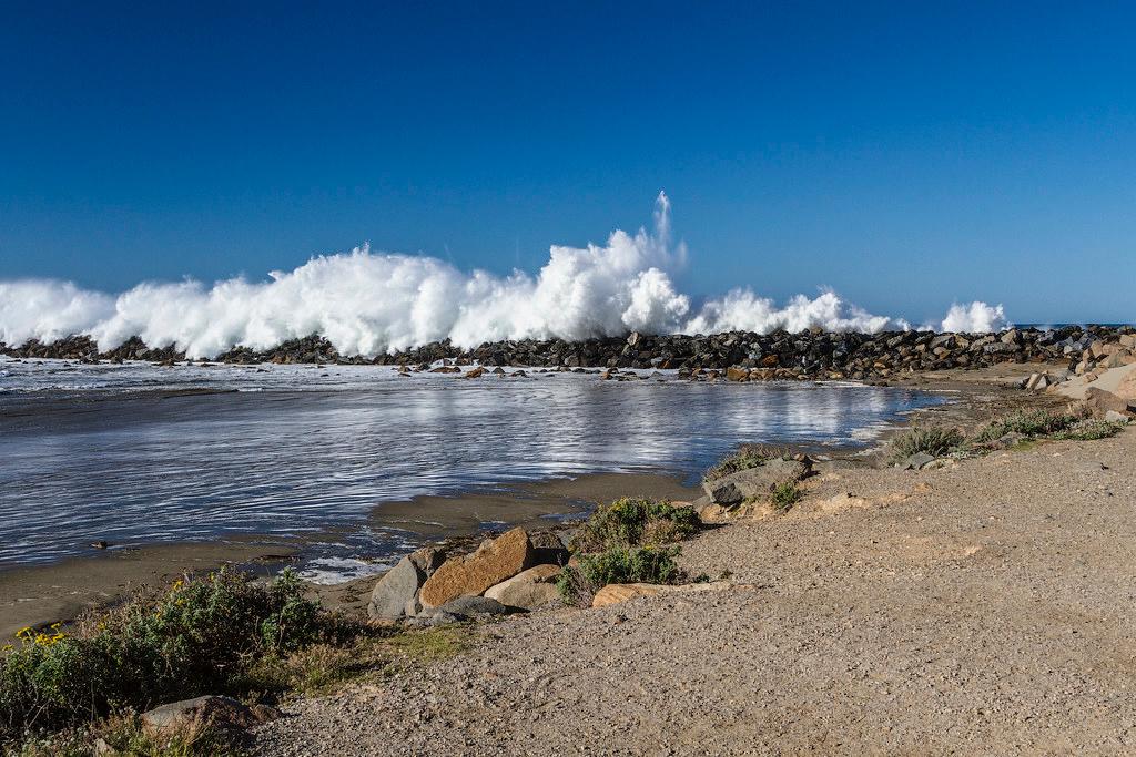 Sandee Morro Bay Harbor Photo