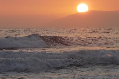 Sandee - Pismo State Beach - Oceano Beach